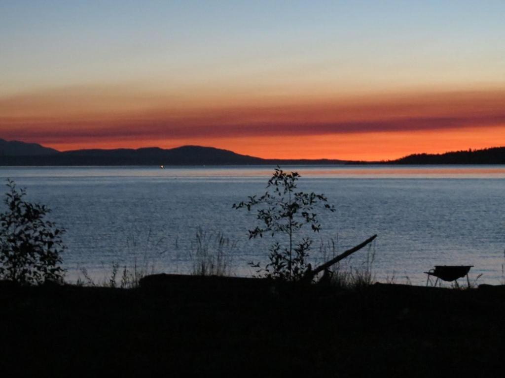 Maxwelton Beach Sunsets! Kayaks & Paddleboards! 1 Min Walk To The Water! Clinton Eksteriør billede