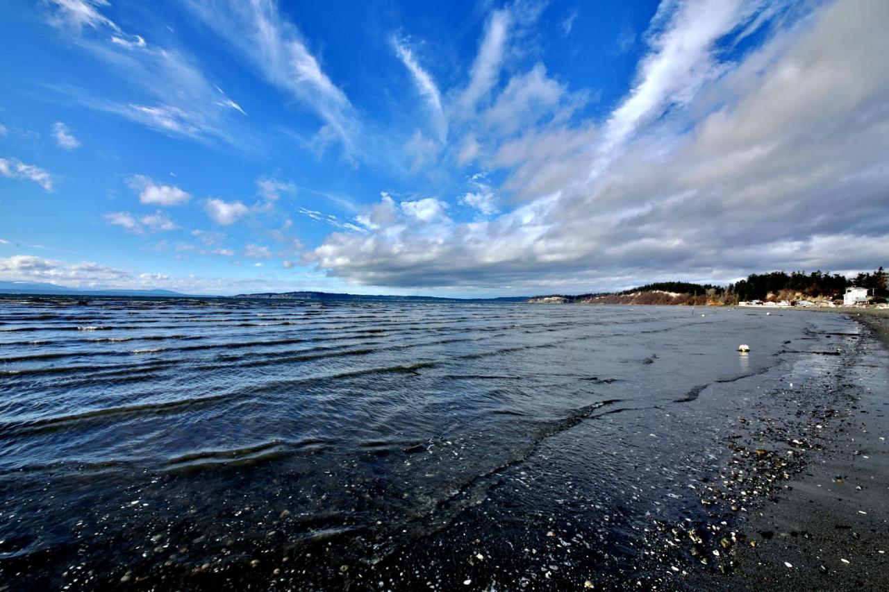 Maxwelton Beach Sunsets! Kayaks & Paddleboards! 1 Min Walk To The Water! Clinton Eksteriør billede