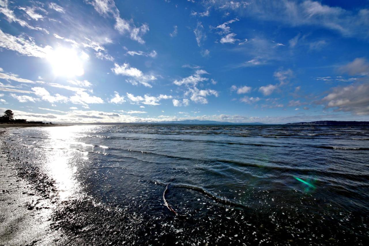 Maxwelton Beach Sunsets! Kayaks & Paddleboards! 1 Min Walk To The Water! Clinton Eksteriør billede